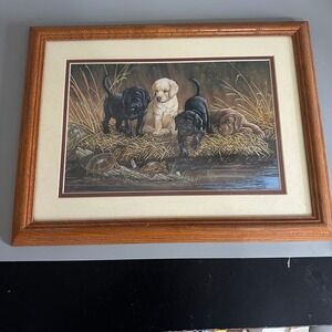 Home & Garden Party Labrador Retriever Puppies Turtles Framed Art Print Doughty